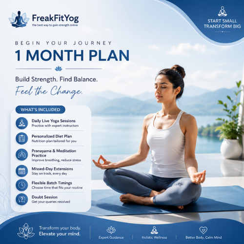 Basic Plan
